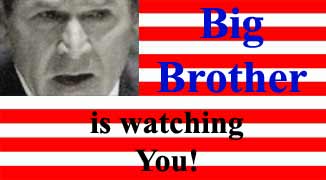 Big Brother Bush