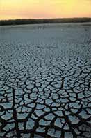 While global warming means warmer vacations for the rich world, for the world's poorest people it can mean economic devastation.