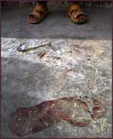 The bloodied footprints on the floor on the historic mosque testify to the most recent attack from the ?liberating forces?.