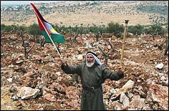 Unable to stop the destruction of his olive grove by Israeli occupiers, 75-year old Abdulrahman Yousef still has hope of a Palestine in peace.