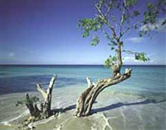 Hundreds of milluions of people live and work in areas subject to rising sea levels.