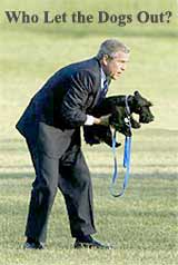 Who Let the Dogs Out?