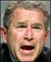 With all the grand designing for the 21st century, President Bush has little time for books.