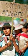 Whilst cocaine is the drug of choice for decadent westerners, coca is used in dozens of non-drug products in Bolivia.