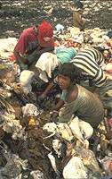 In vast swathes around the world's richest cities, millions of children try to subsist by living of the throw-outs of a wastful age.