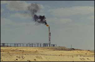 Oil Fields